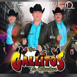Los Gallitos de Chihuahua